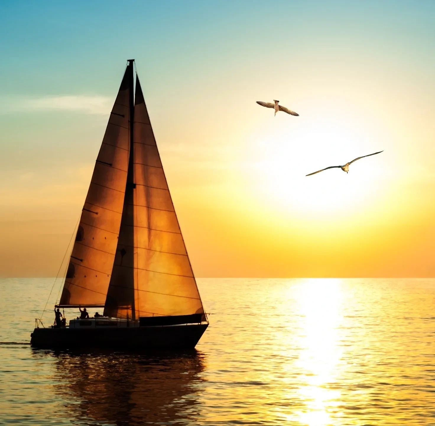 A sailing boat on calm water at sunrise off the North Queensland coast